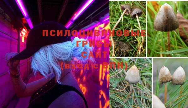 гашишное масло Белоозёрский